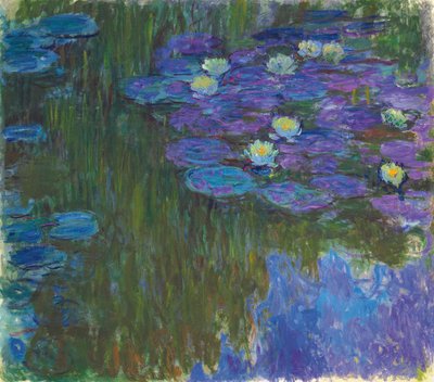 Water Lilies in Bloom by Claude Monet