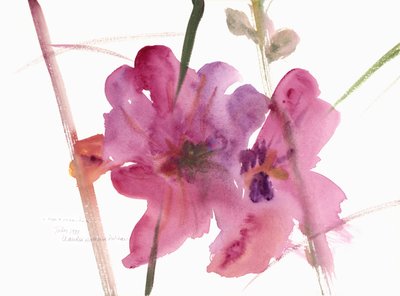 Hollyhocks, 1988 by Claudia Hutchins Puechavy