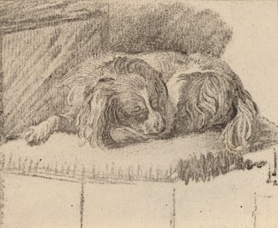 Lying Dog by Cornelis Brouwer