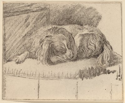 Lying Dog by Cornelis Ploos van Amstel