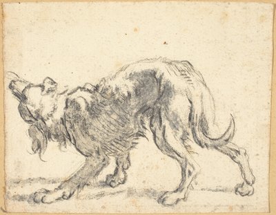 A Dog by Cornelis Saftleven