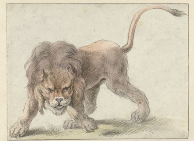 Lion by Cornelis Saftleven