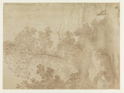 Hill Landscape with Trees by Cornelis van Poelenburch