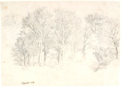 Study of Trees by Dankvart Dreyer