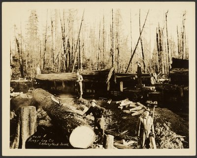 Loggers by Darius Kinsey