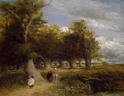 Skirts of the Forest by David Cox