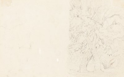 Trees by David Cox