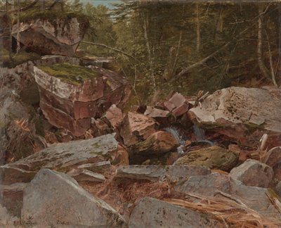 Study, North Conway, New Hampshire, 1851 by David Johnson