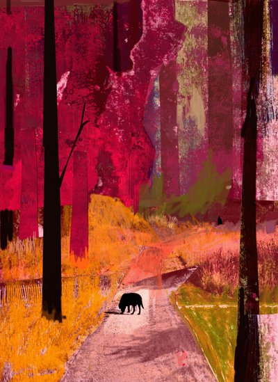 Black Dog, 2013 by David McConochie