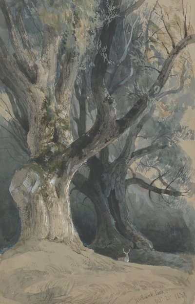 Trees in Northwick Park by David Roberts