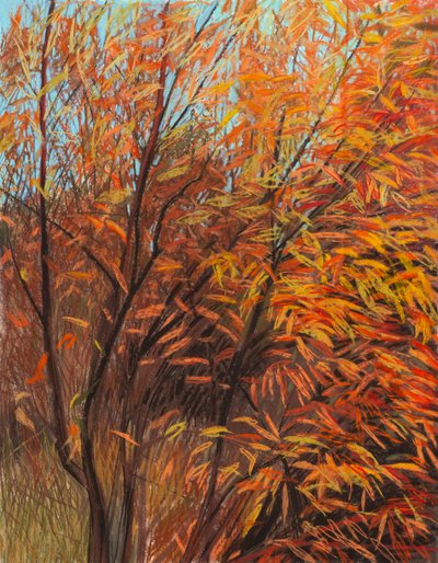 Red Willow 1a, 2021 by Diana Jahns