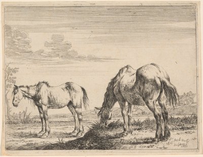 Two Grazing Horses by Dirck Stoop