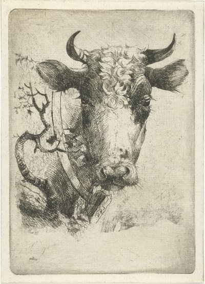 Head of a Cow with Collar by Dirk Dirksen