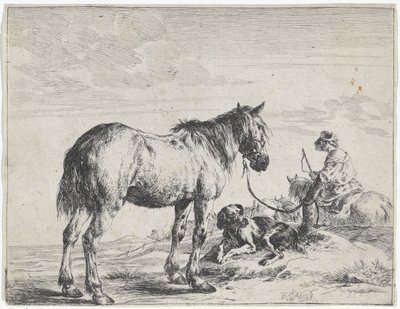 Horse Tied to a Pole (Horses) by Dirk Stoop