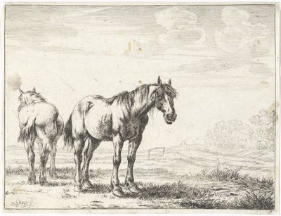 Two Horses in a Landscape by Dirk Stoop