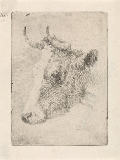 Head of a Bull by Dirk van Oosterhoudt