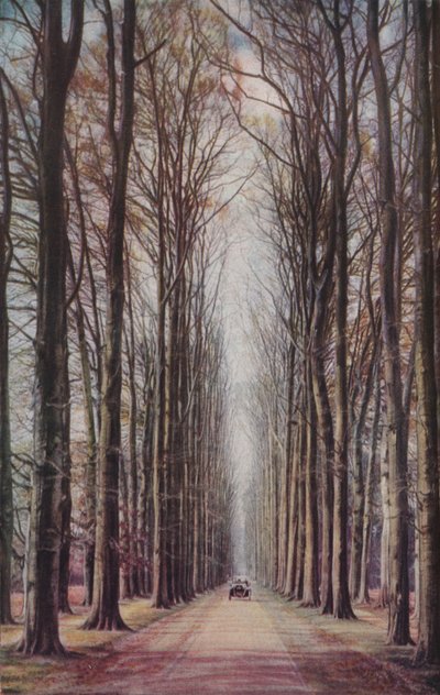 Holland, c1930s by ENA