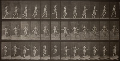 Animal Locomotion, Plate 174, 1887 by Eadweard Muybridge