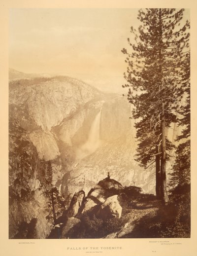 Falls of the Yosemite by Eadweard Muybridge