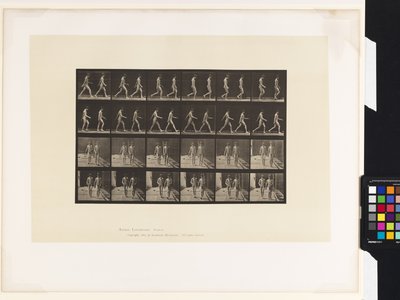 Plate 12. Walking by Eadweard Muybridge