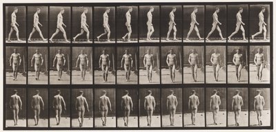 Plate 1. Walking by Eadweard Muybridge