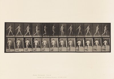 Farmer, Scattering Seed by Eadweard Muybridge