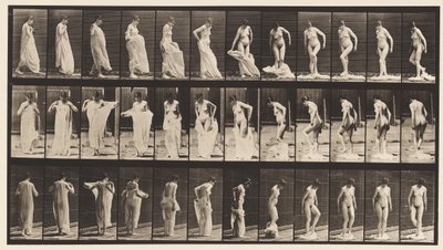 Plate 431. Toilet; Taking Off Clothing by Eadweard Muybridge