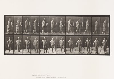 Hemiplegia; Walking with Cane by Eadweard Muybridge
