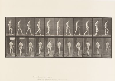 Locomotor Ataxia; Walking by Eadweard Muybridge