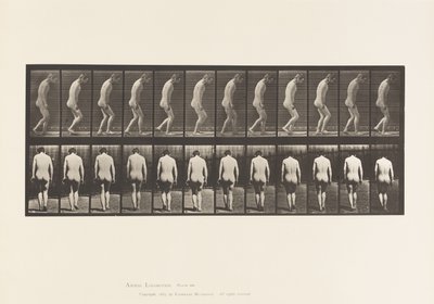 Paraplegia; Partial; Walking by Eadweard Muybridge