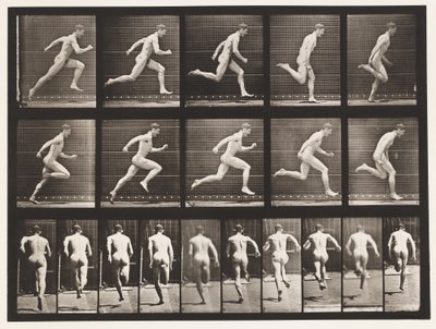 Plate 63. Running at Full Speed by Eadweard Muybridge