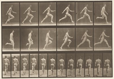 Plate 64. Running at Full Speed by Eadweard Muybridge