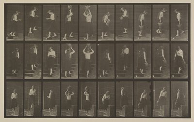 Plate Number 504. Ascending and Descending Stairs by Eadweard Muybridge