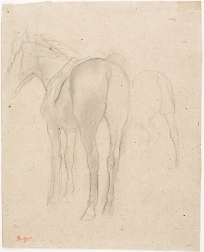 Studies of a Horse by Edgar Degas