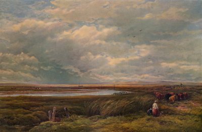 Near Barmouth, 1883 by Edmund Morison Wimperis