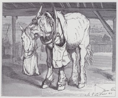 A Cart Horse by Edwin (after) Landseer