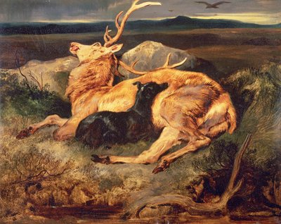 Stag by Edwin Landseer