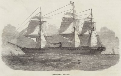 The Himalaya Steam-Ship by Edwin Weedon