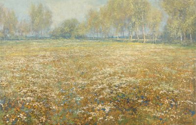 Meadow in Bloom by Egbert Schaap