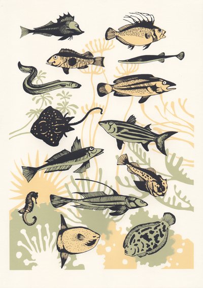 Peach Seaweed Fish by Eliza Southwood