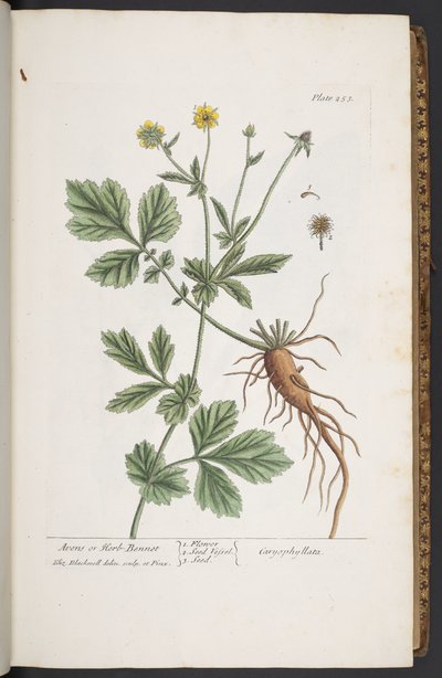 Plate 253, from 