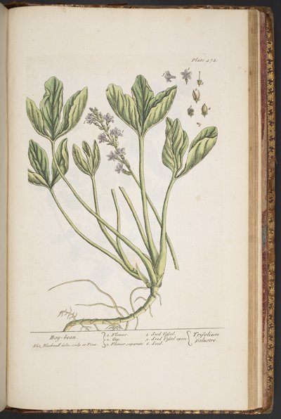 Plate 474, from 