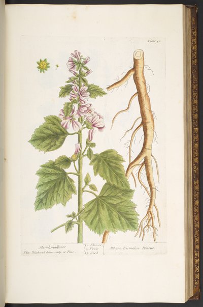 Plate 90, from 