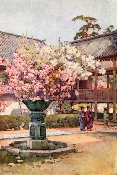 Cherry Blossom, Chion-in Temple by Ella Du Cane