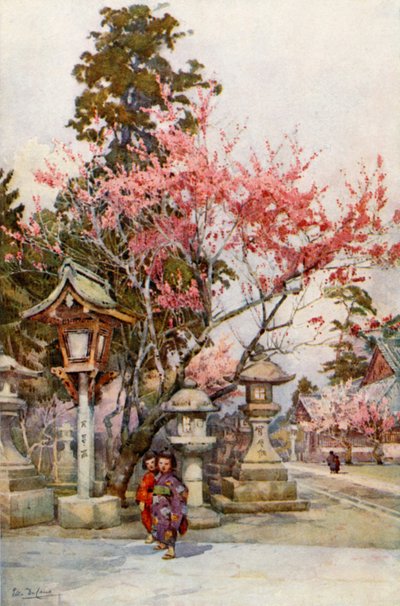 Plum Blossom and Lanterns by Ella Du Cane