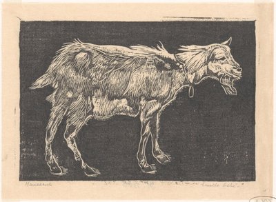 Goat by Emilius Wilhelmus Dehé (signed by artist)