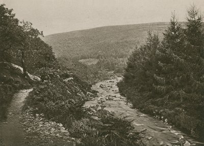 Path by Bagworthy Water, Doone Valley by English Photographer