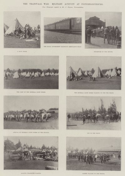 The Transvaal War, Military Activity at Pietermaritzburg by English Photographer