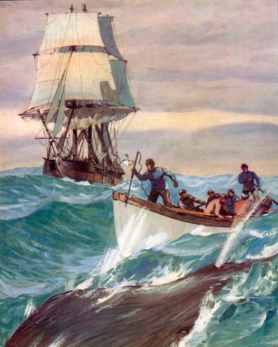 A Whaler by English School