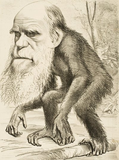 Caricature of Charles Darwin by English School
